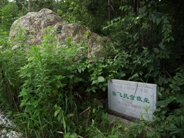 Fortifications for Battle against Jin Wuzhu